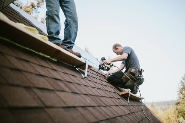 Roof Coating Services